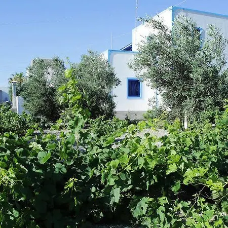 Kapetanios